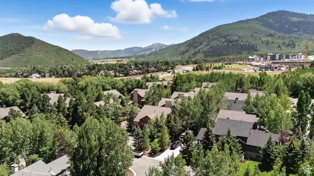 3995 N Timberwolf Ln Unit 1A, Park City, UT 84098 - photo 38