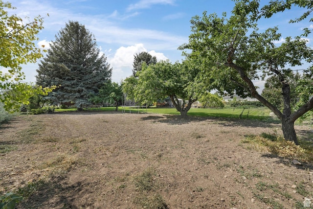 393 S 800 E, Spanish Fork, UT 84660 - photo 29