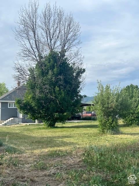 258 E Center St, Fairview, UT 84629 - photo 7