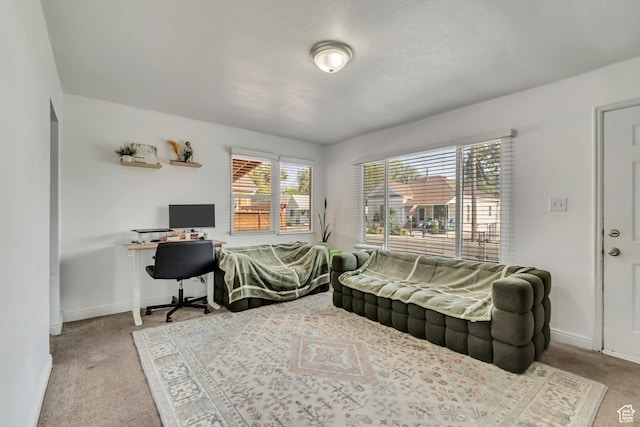 662 W 4th Ave S, Midvale, UT 84047 - photo 5