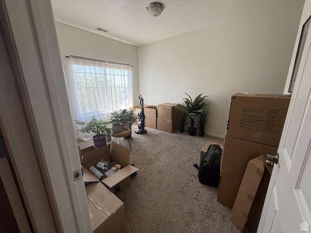 1208 S Meadow Fork Rd Unit 2, Provo, UT 84606 - photo 14