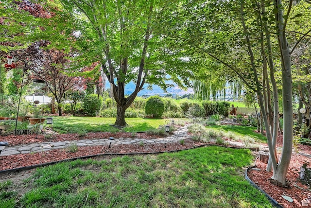 695 E 2450 N, North Ogden, UT 84414 - photo 35