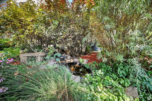 695 E 2450 N, North Ogden, UT 84414 - photo 34