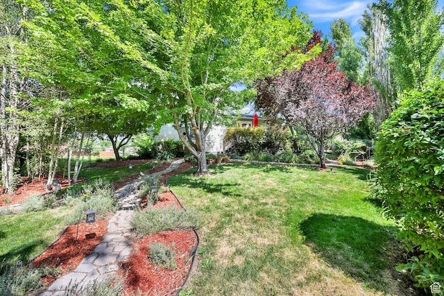 695 E 2450 N, North Ogden, UT 84414 - photo 32