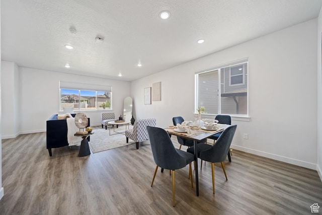 736 W Blue Violet Dr, Saratoga Springs, UT 84045 - photo 13