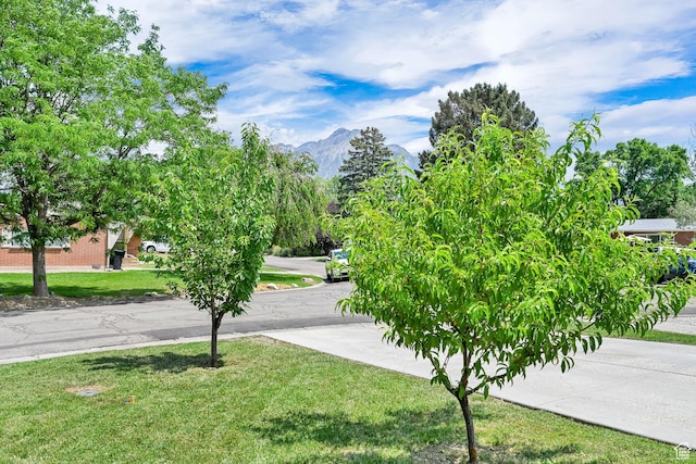 1540 E 4095 S, Salt Lake City, UT 84124 - photo 41