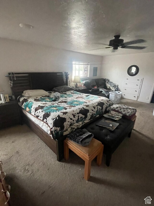 156 N 100 E, Roosevelt, UT 84066 - photo 11