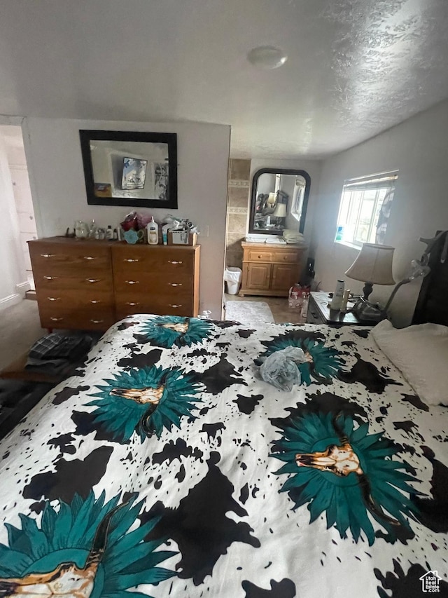 156 N 100 E, Roosevelt, UT 84066 - photo 10