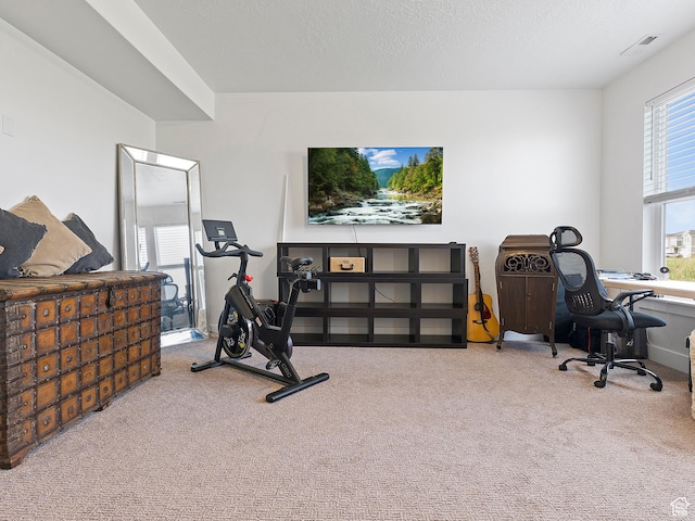 1620 N 1280 E, Payson, UT 84651 - photo 9