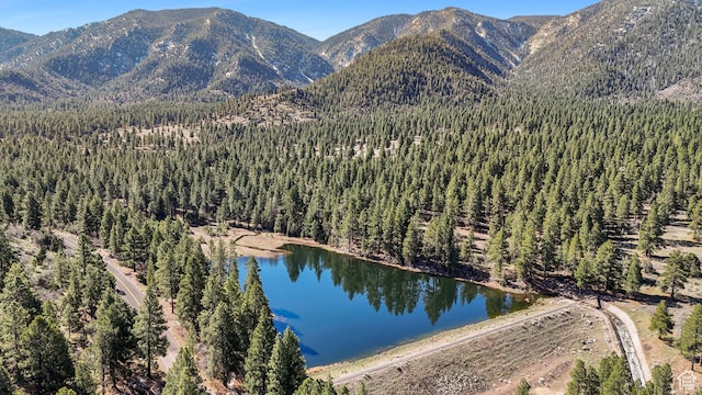797 W Oakridge Rd, Pine Valley, UT 84781 - photo 43