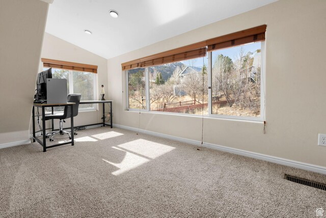 797 W Oakridge Rd, Pine Valley, UT 84781 - photo 26