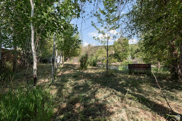 146 S Lakeside Dr, Wanship, UT 84017 - photo 22