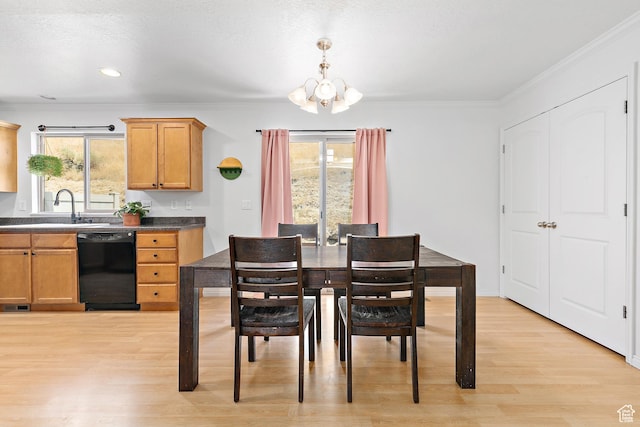 10428 N Sage Vista Ln, Cedar Hills, UT 84062 - photo 6
