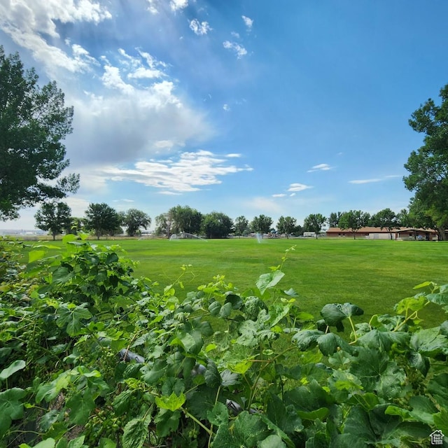 710 E 600 N, Roosevelt, UT 84066 - photo 32