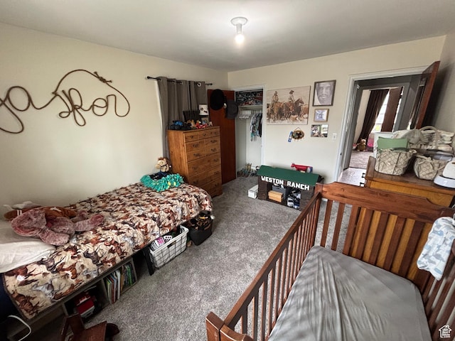 228 Beckwith St, Montpelier, ID 83254 - photo 17