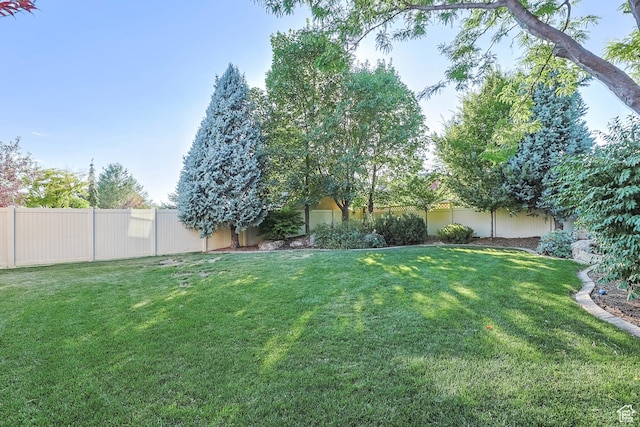 3289 N 1350 W, Pleasant View, UT 84414 - photo 90