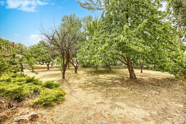 1546 E 700 S, Clearfield, UT 84015 - photo 22