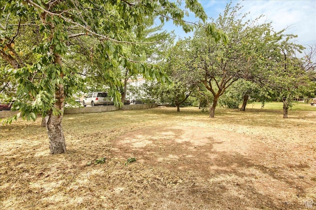 1546 E 700 S, Clearfield, UT 84015 - photo 23