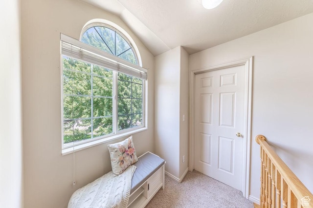 1948 E Cedar Loop Dr, South Weber, UT 84405 - photo 20