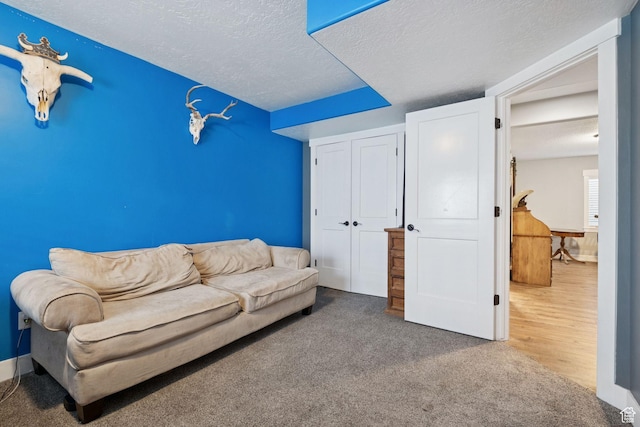 2976 W Ruiz, Stockton, UT 84071 - photo 36