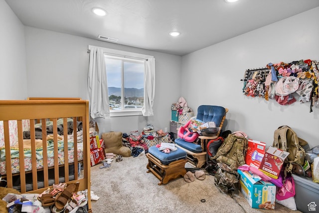 724 E 70 S, Manti, UT 84642 - photo 38