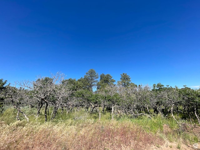 0 N Creek Rd, Monticello, UT 84535 - photo 11