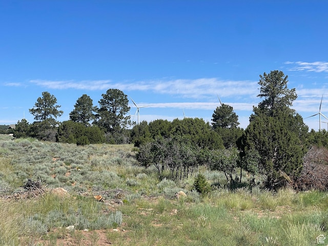 0 N Creek Rd, Monticello, UT 84535 - photo 10