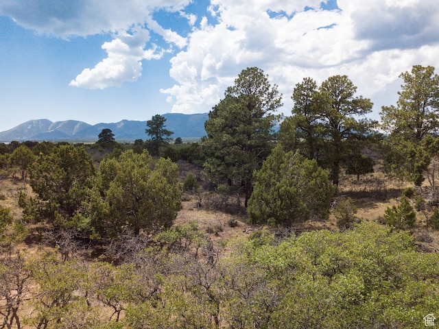 0 N Creek Rd, Monticello, UT 84535 - photo 7