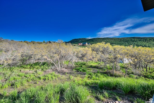 1810 Timber Lakes Dr Unit 832, Heber City, UT 84032 - photo 39