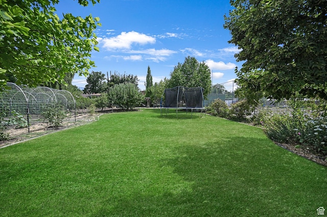 230 W Center St, Logan, UT 84321 - photo 66