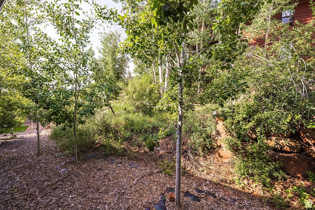 3355 Santa Fe Rd, Park City, UT 84098 - photo 21