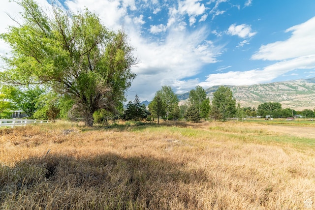 1254 E 300 N, American Fork, UT 84003 - photo 21