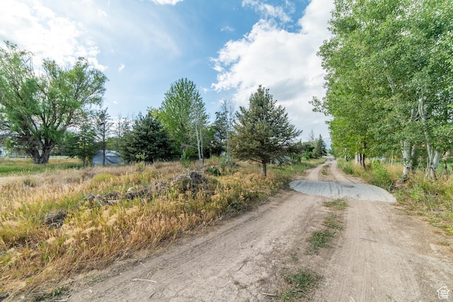 1254 E 300 N, American Fork, UT 84003 - photo 18