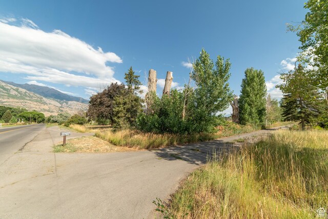 1254 E 300 N, American Fork, UT 84003 - photo 29