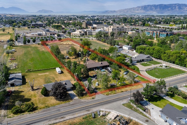 1254 E 300 N, American Fork, UT 84003 - photo 6