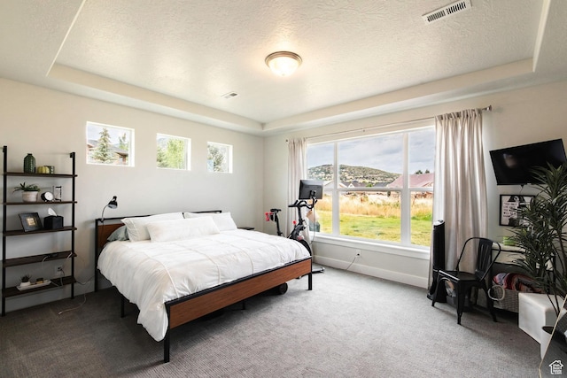 1128 N Springer Loop, Midway, UT 84049 - photo 14