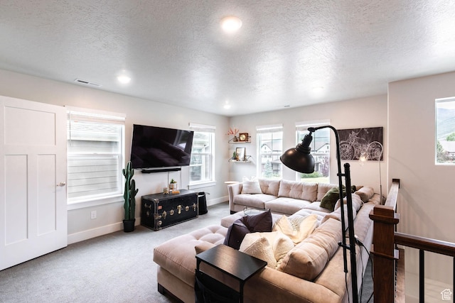 1128 N Springer Loop, Midway, UT 84049 - photo 17