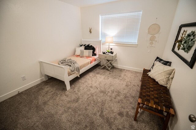 154 E 550 N Unit 103, Richmond, UT 84333 - photo 9