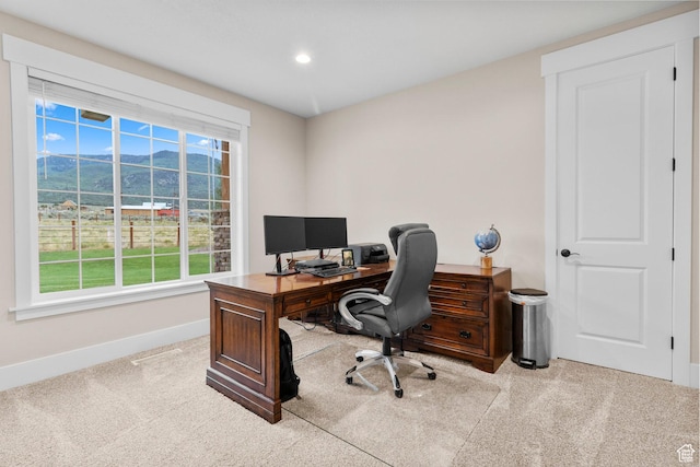 28675 N Milburn Rd E, Fairview, UT 84629 - photo 18