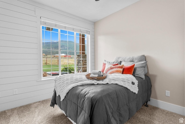 28675 N Milburn Rd E, Fairview, UT 84629 - photo 20