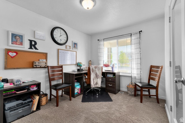 175 W Wolverine Crk, Elk Ridge, UT 84651 - photo 13