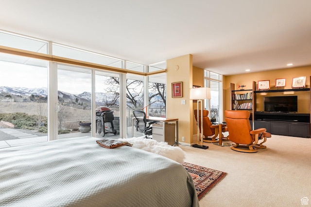 724 N Eastcapitol Blvd E, Salt Lake City, UT 84103 - photo 23