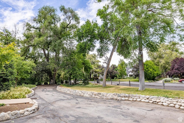 1656 E Millcreek Way, Salt Lake City, UT 84106 - photo 27