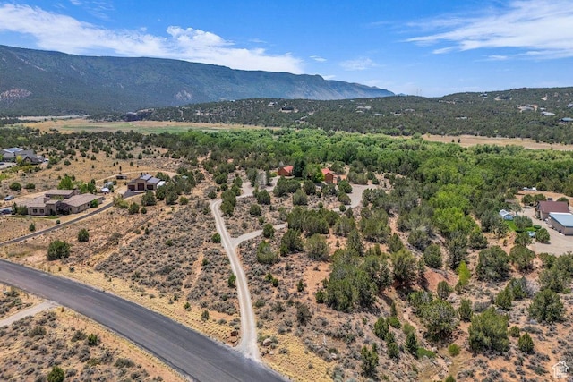 2792 E Badger Way, New Harmony, UT 84757 - photo 37