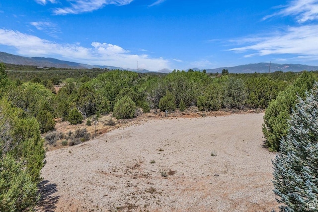 2792 E Badger Way, New Harmony, UT 84757 - photo 41