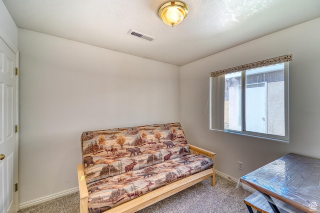 2990 E Riverside Dr, St George, UT 84790 - photo 15