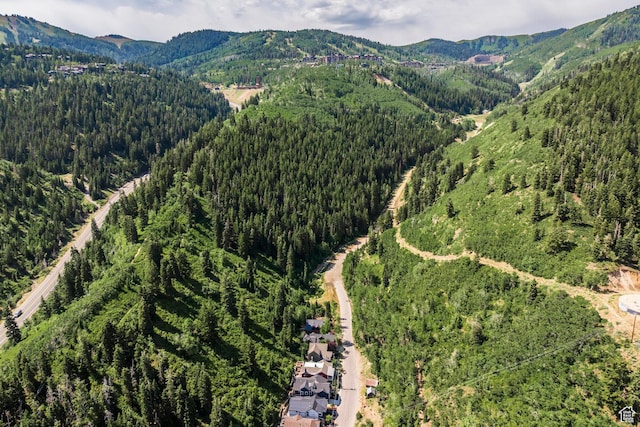 331 Daly Ave Unit 6, Park City, UT 84060 - photo 89