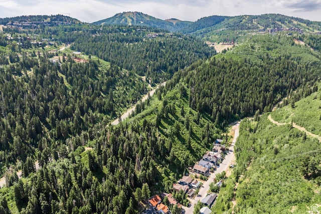 331 Daly Ave Unit 6, Park City, UT 84060 - photo 88