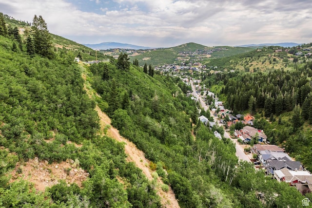 331 Daly Ave Unit 6, Park City, UT 84060 - photo 85