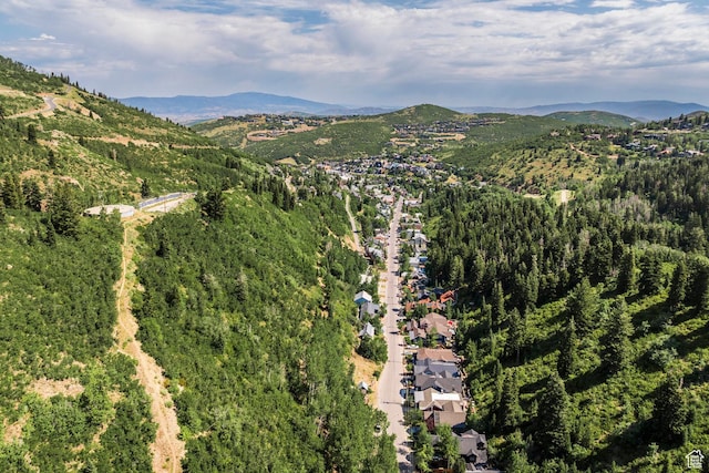 331 Daly Ave Unit 6, Park City, UT 84060 - photo 86